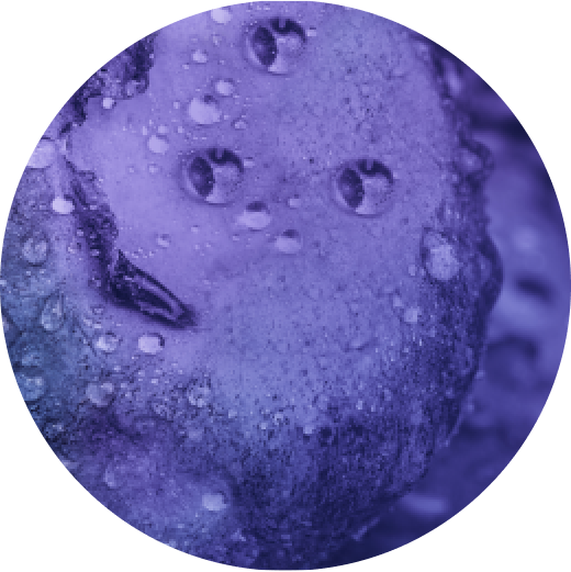 VEEV ONE Blueberry e-liquid pod 